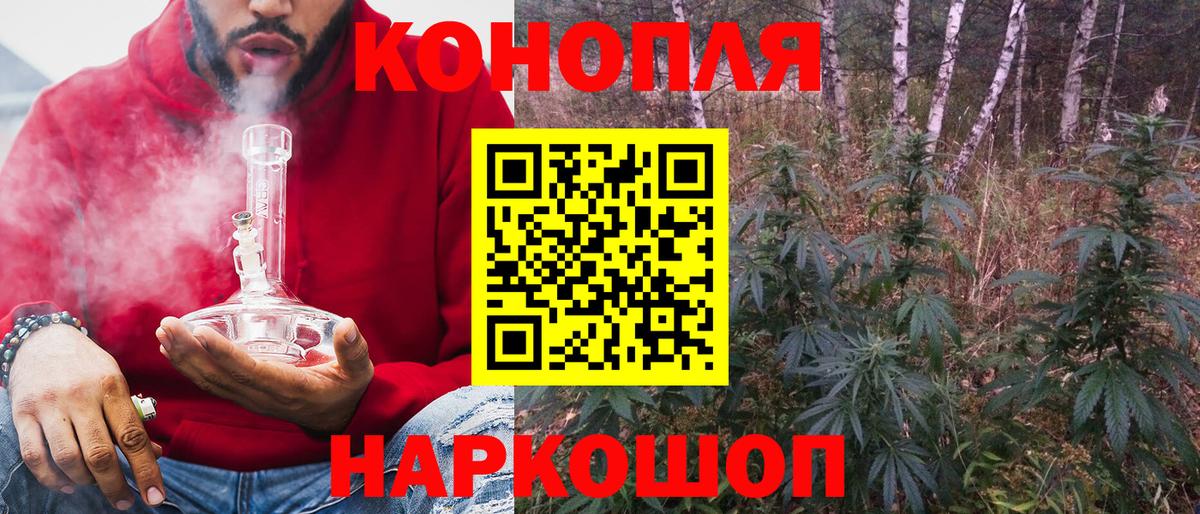 Бошки Шишки планчик  Конопля MAZAR  МАРИХУАНА сатива  Вход с VPN  Новозыбков 